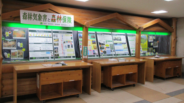 林野庁中央展示全体写真