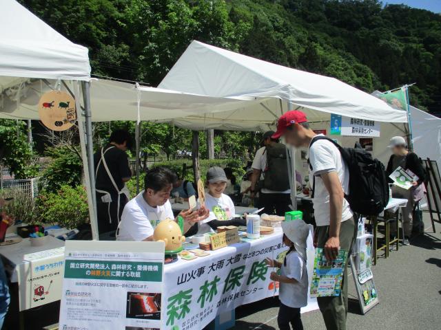 2026midori2