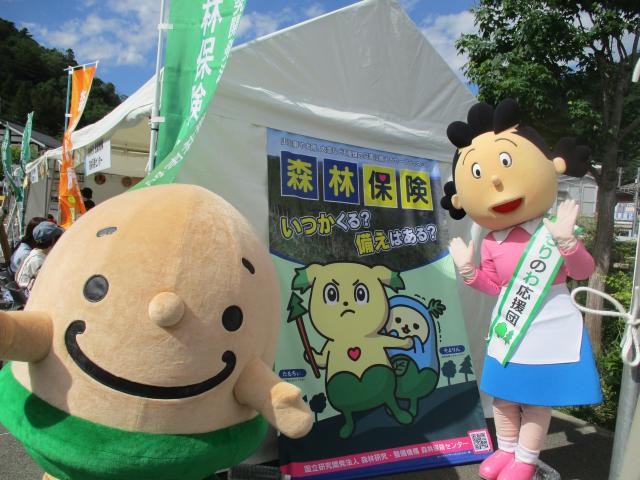 2026midori9