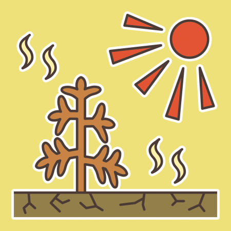 icon05_kangai.png