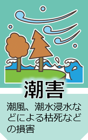 icon_chogai.png