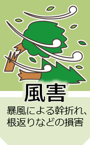 icon_fugai.png