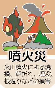 icon_funkasai.png