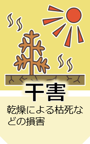 icon_kangai.png