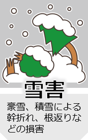 icon_setsugai.png