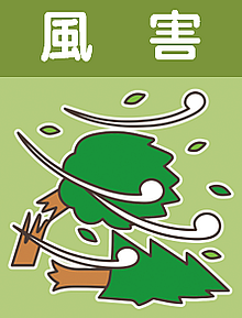 アイコン風害