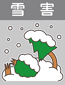 アイコン雪害