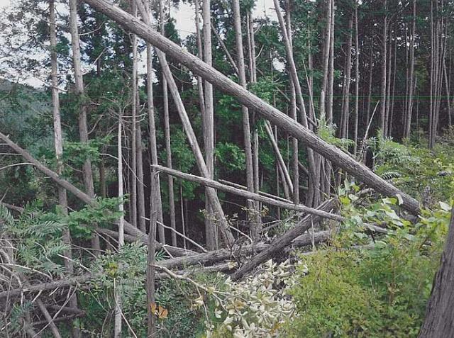 風害_R3福島県