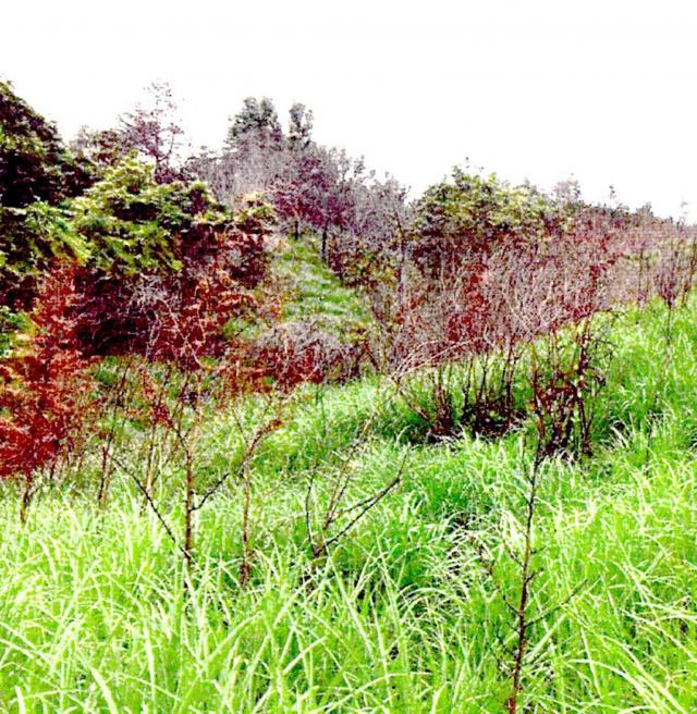 火災写真_H30山梨県