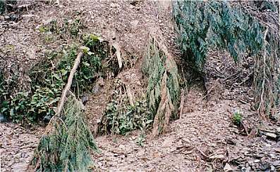 suigai_hukuoakaH24.jpg