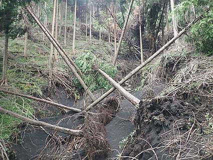 suigai_kanagawaR1.jpg