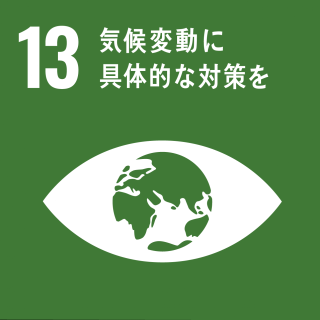 sdg_icon_13_climateaction