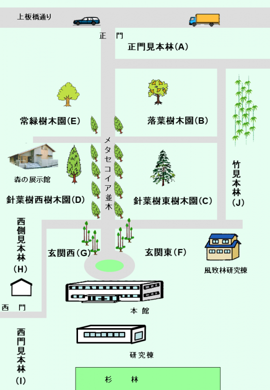 map_treegarden