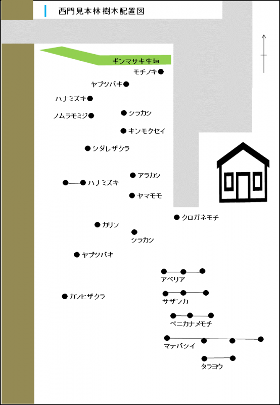 西門見本林　樹木配置図