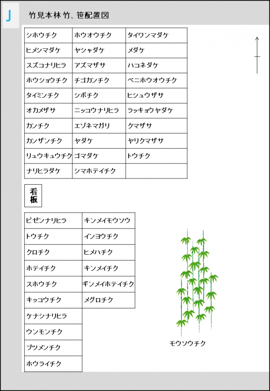 J_bamboo_garden