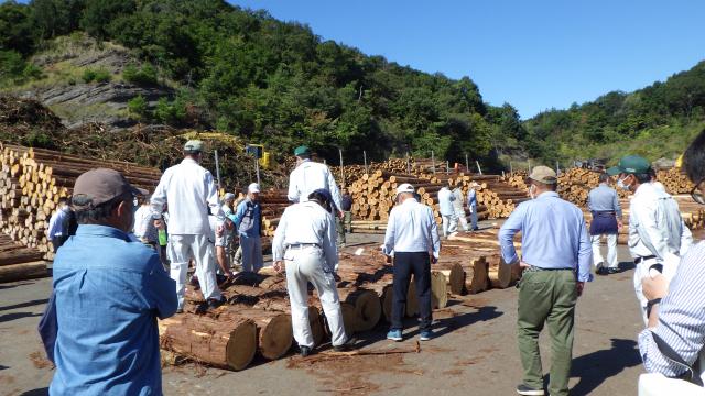 forestmanagement03