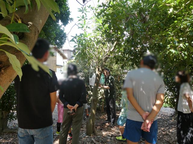 20260725_photo4