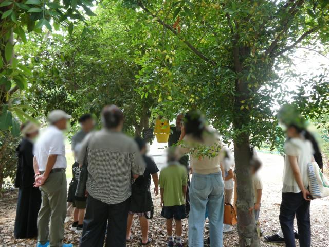 20260725_photo5