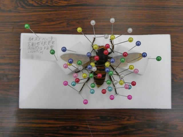 20260725_photo6