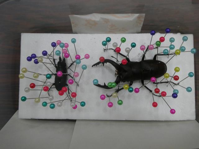 20260725_photo7
