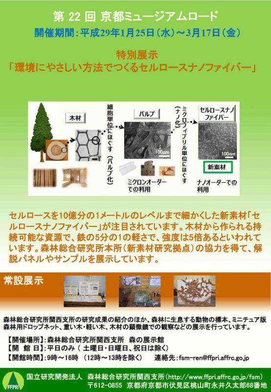 nanocellulose