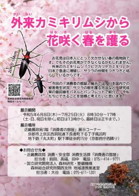 20230623_kubiaka
