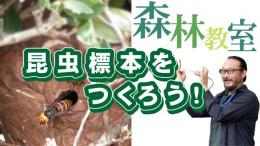 thumbnail1