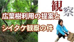 thumbnail2