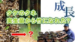 thumbnail5