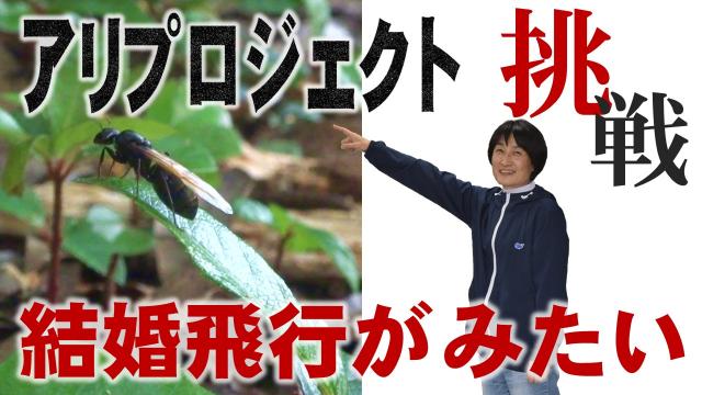 thumbnail6