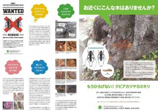 20240112_leaflet_wanted