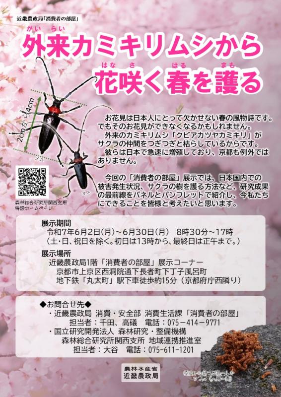20250602_kubiaka