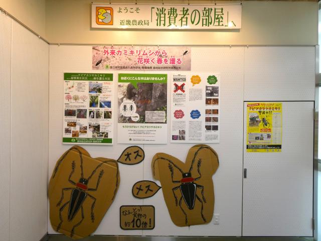20250602_kubiaka4