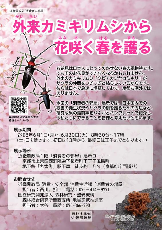 「消費者の部屋」チラシ