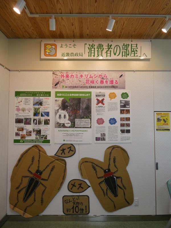 展示の様子1
