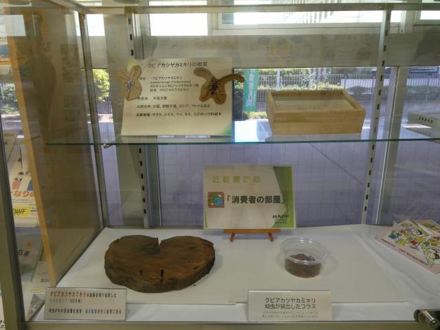 展示の様子2