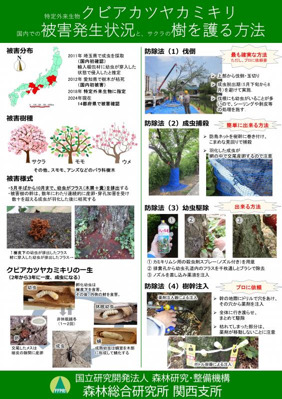 展示パネル