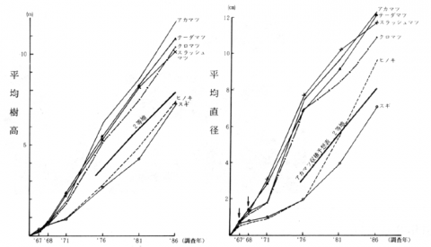 [Figure: 樹高と直径成長]