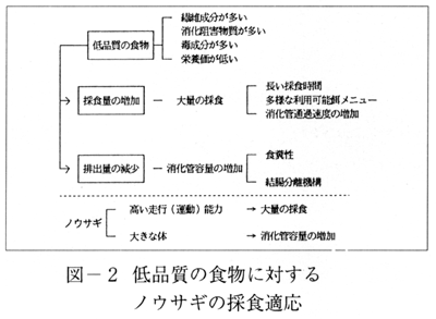 [図-2 低品質の食物に対するノウサギの採食適応]