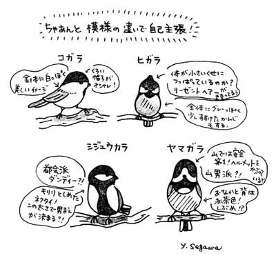 illustration