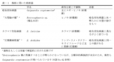graph