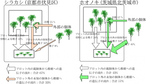 graph