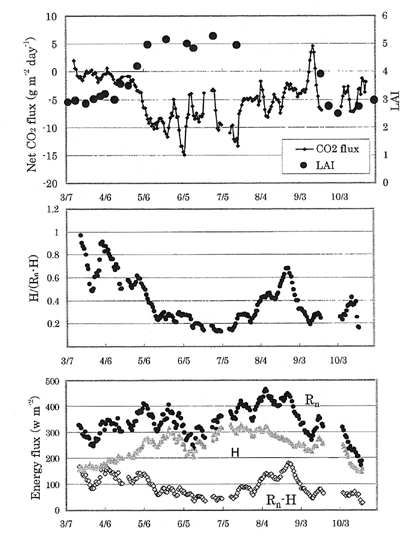 graph