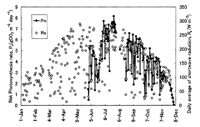 graph