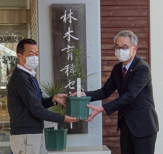 「羽衣の松」後継樹の引き渡し