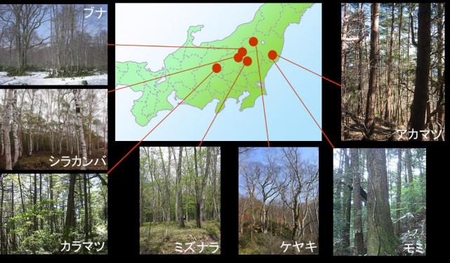 図1モニタリング調査地とその対象樹種