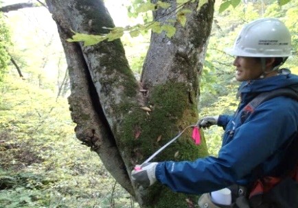 写真2周囲長の測定