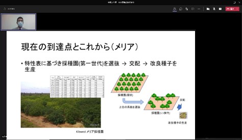 発表の様子（スライド）