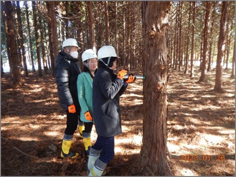 写真3ピロディンを使用している様子