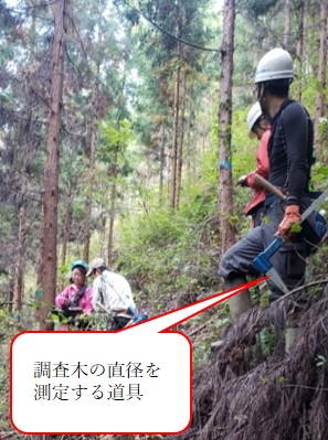 写真1成長調査